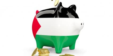 Fat piggy bank with fag of palestinian territory and money isolated on white. 3D illustration