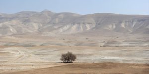 Jordan Valley