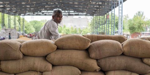 New Delhi, India: Worker rest on sacks of packed wheat at Grain Market in Narela, New Delhi.