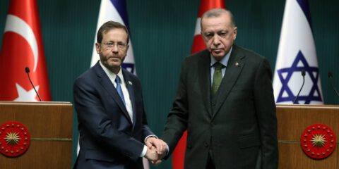 Erdogan and Herzog