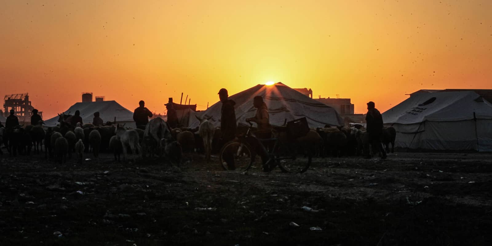 Israel's Options in Gaza